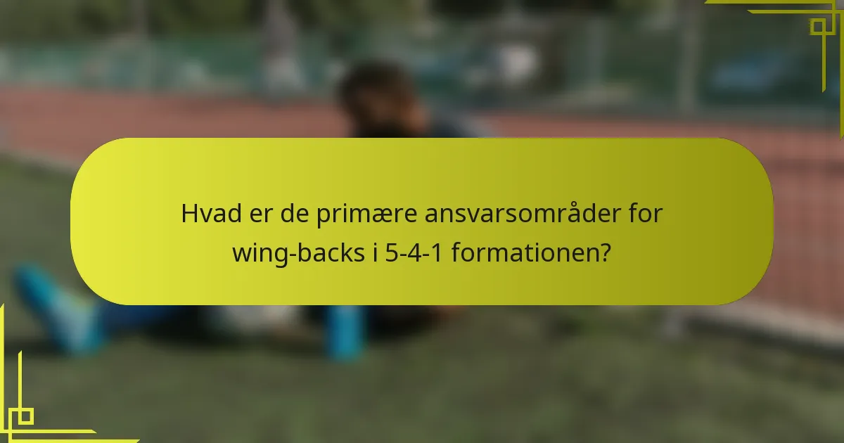 Hvad er de primære ansvarsområder for wing-backs i 5-4-1 formationen?